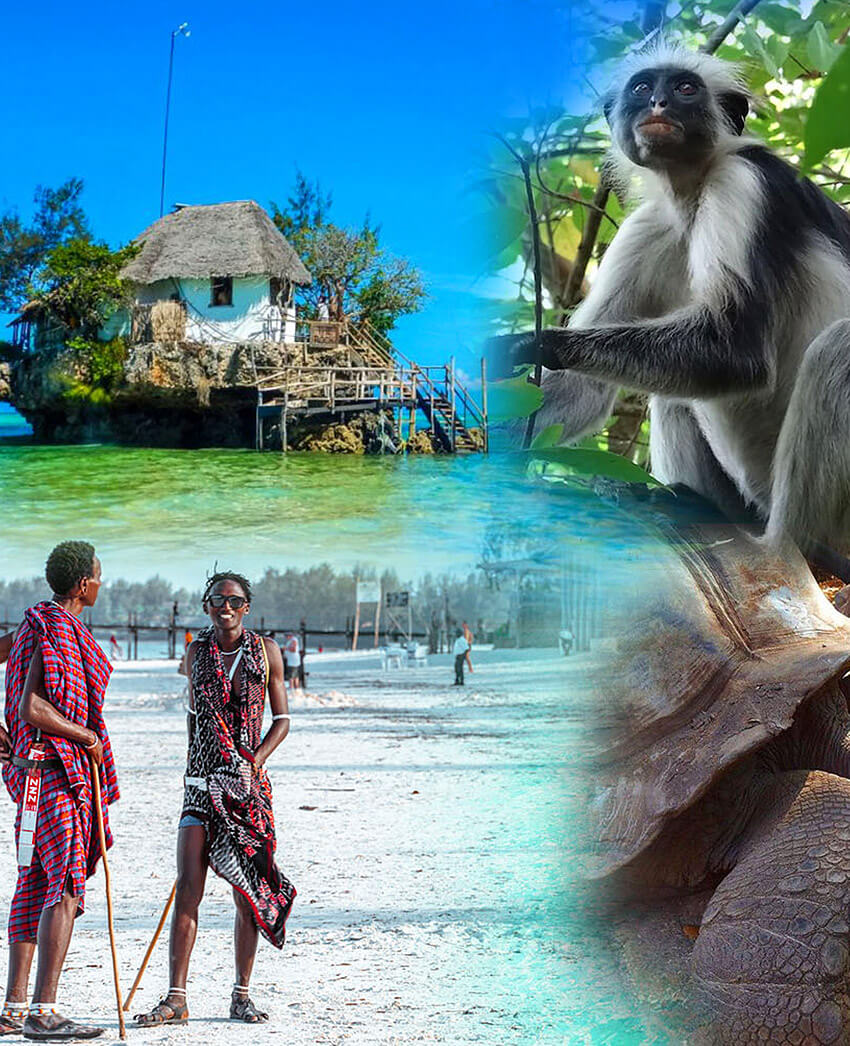 Wycieczki na Zanzibarze